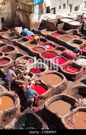 Cuves pour le tannage et la teinture des cuirs et peaux, tannerie traditionnelle Chouwara dans Old Fès, Fès, Maroc, Afrique du Nord Banque D'Images