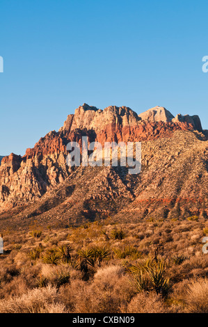 Red Rock Canyon en dehors de Las Vegas, Nevada, États-Unis d'Amérique, Amérique du Nord Banque D'Images