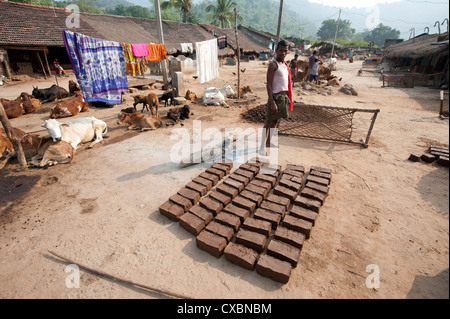 Young man standing in traditional Desia Kondh village tribal street, briques de terre séchant au soleil, Bissam Cuttack, Orissa, Inde Banque D'Images