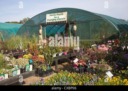 Le Jardin Exotique Plantes rustiques de l'entreprise pour le changement climatique : pépinière, Aldeburgh, Suffolk, Angleterre Banque D'Images