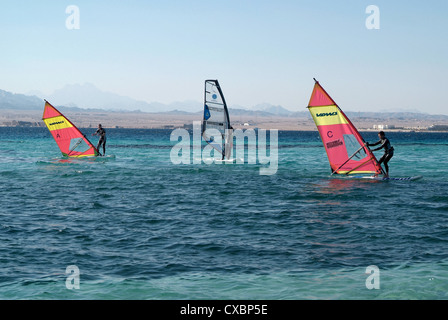 Les surfeurs, Safaga en Mer Rouge Banque D'Images