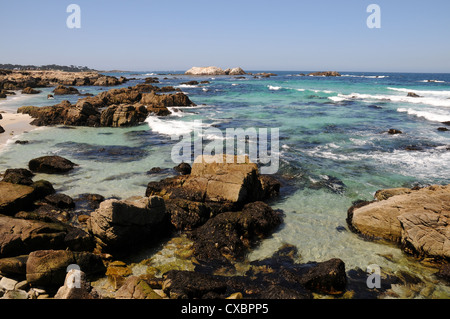 PACIFIC GROVE RIVAGE,MONTEREY,CALIFORNIA,USA Banque D'Images