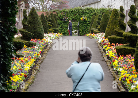 Un chemin à travers les plantes de la literie dans le jardin clos à Bellahouston Park, Glasgow, Écosse, Royaume-Uni Banque D'Images