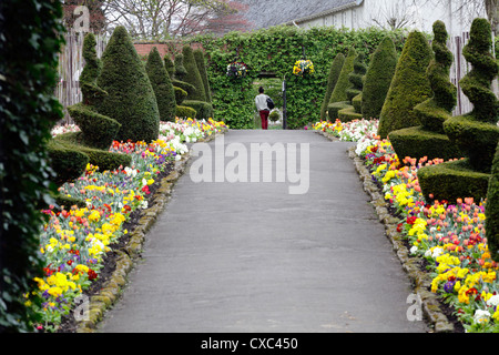 Un chemin à travers les plantes de la literie dans le jardin clos à Bellahouston Park, Glasgow, Écosse, Royaume-Uni Banque D'Images