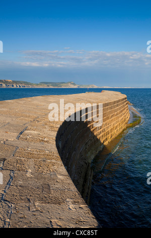 La Cobb en pierre ou mur du port, un célèbre monument de Lyme Regis, sur la côte jurassique, UNESCO World Heritage Site, Dorset, Angleterre Banque D'Images