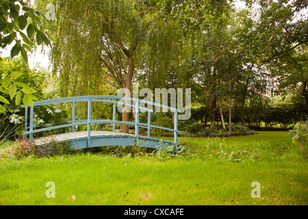 L'eau de l'usine Westonbury Pembridge Gardens Herefordshire Angleterre Royaume-uni. Banque D'Images