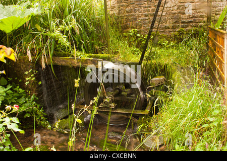 Moulin à eau de la mise sous tension d'eau à l'eau de l'usine Westonbury Pembridge Gardens Herefordshire UK. Banque D'Images