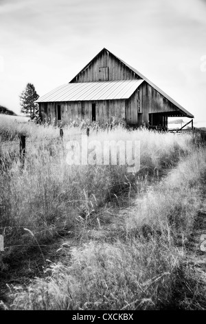 Grange abandonnée en noir et blanc Banque D'Images
