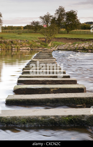 Vue faible close-up de l'eau calme qui s'écoule autour des tremplins crossing pittoresque rivière - rivière Wharfe, Burley dans Wharfedale, Yorkshire, Angleterre, Royaume-Uni. Banque D'Images