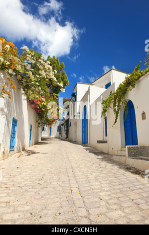Vieille ville tunisienne Sidi Bou Saïd est aujourd'hui un luxueux quartier de la capitale Tunis. Sidi Bou Saïd est connu pour les couleurs bleu et blanc Banque D'Images
