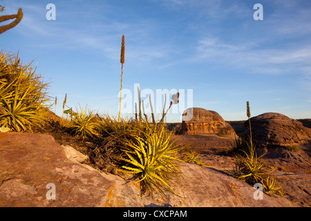 Arco do Chaves, Parque Nacional da Serra da Capivara, ( Capivara Mountains National Park ) Piaui, état du Nord-Est du Brésil. Banque D'Images
