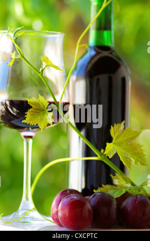 Le vin rouge et les fruits mûrs Banque D'Images
