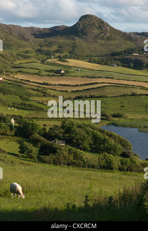 Emerald Isle. Collines près de Fanad head, nord du Donegal, en République d'Irlande. Banque D'Images