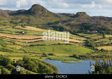 Emerald Isle. Collines près de Fanad head, nord du Donegal, en République d'Irlande. Banque D'Images