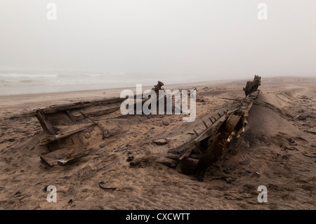 Naufrage, Skeleton Coast National Park, Namibie, Afrique Banque D'Images