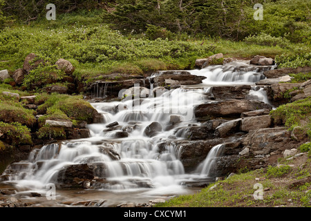 Falls Creek sur Logan, Glacier National Park, Montana, États-Unis d'Amérique, Amérique du Nord Banque D'Images