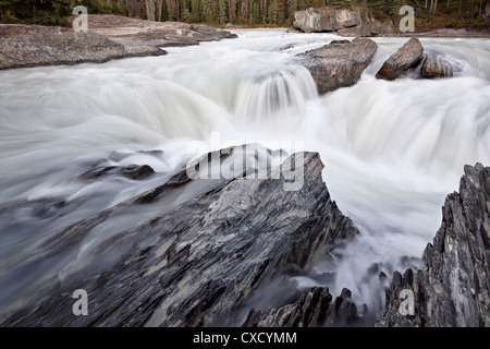 Falls sur la rivière Kicking Horse, parc national Yoho, UNESCO World Heritage Site, British Columbia, Canada, Amérique du Nord Banque D'Images