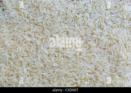 Full Frame shot de riz basmati blanc non cuit Banque D'Images