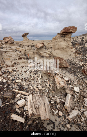 Le bois pétrifié dans les badlands sur un jour nuageux, bassin de San Juan, Nouveau-Mexique, États-Unis d'Amérique, Amérique du Nord Banque D'Images