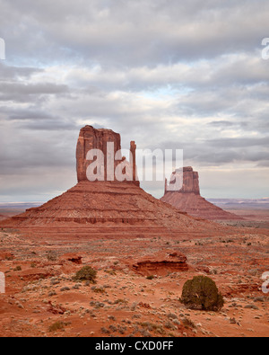 Les mitaines, Monument Valley Navajo Tribal Park, Arizona, États-Unis d'Amérique, Amérique du Nord Banque D'Images