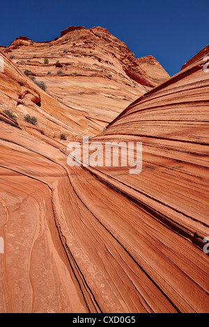 La mini-formation de vagues, Coyote Buttes Wilderness, Vermillion Cliffs National Monument, Arizona, États-Unis d'Amérique Banque D'Images