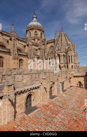 Vue partielle de la vieille cathédrale de style gothique avec toit architecture, Salamanque, ville monumentale, Castille Leon, Espagne Banque D'Images