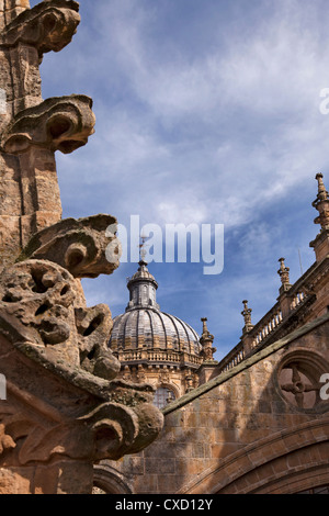 Vue partielle de la vieille cathédrale de style gothique avec toit architecture, Salamanque, ville monumentale, La Castille Leon, Espagne Banque D'Images