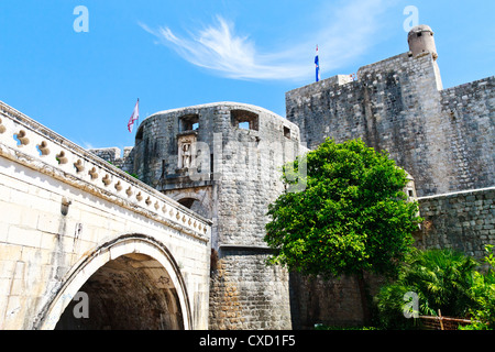 La ville de Dubrovnik Entrée par enceinte médiévale, Croatie Banque D'Images