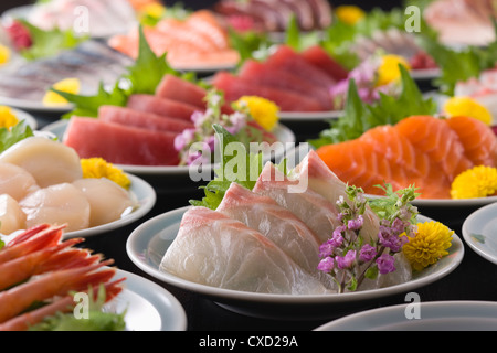 Sashimi divers sur la plaque Banque D'Images