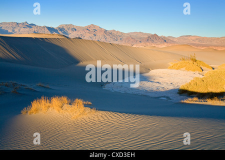 Télévision Mesquite Sand Dunes, Death Valley National Park, California, États-Unis d'Amérique, Amérique du Nord Banque D'Images