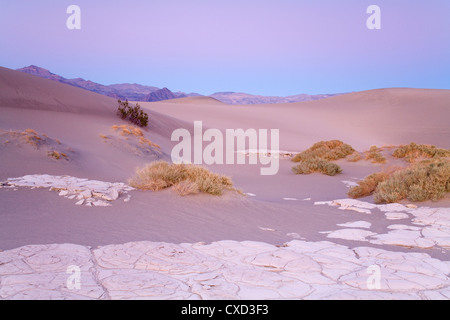 La boue séchée dans la télévision Mesquite Sand Dunes, Death Valley National Park, California, États-Unis d'Amérique, Amérique du Nord Banque D'Images