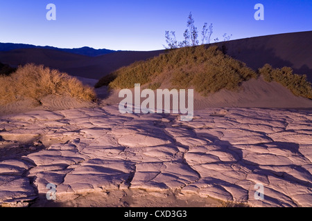 La boue séchée dans la télévision Mesquite Sand Dunes, Death Valley National Park, California, États-Unis d'Amérique, Amérique du Nord Banque D'Images