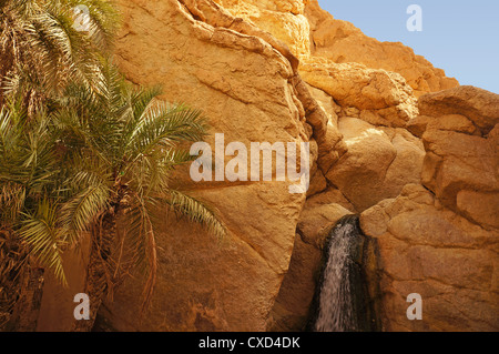 Vue de la cascade de l'Chebika oasis en Tunisie Banque D'Images