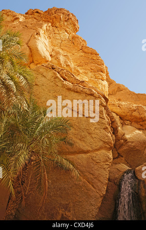 La cascade de l'Chebika oasis en Tunisie Banque D'Images
