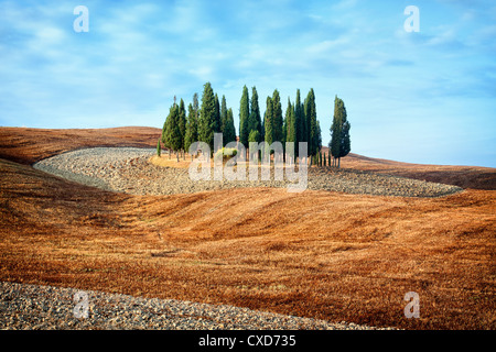 Vue panoramique du paysage typique de la Toscane Banque D'Images