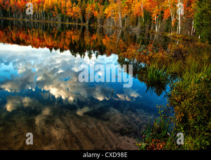 La péninsule du Nord Michigan, Lac du Conseil. Rive du lac avec feuillage d'automne et les nuages blancs reflètent dans l'eau. Banque D'Images