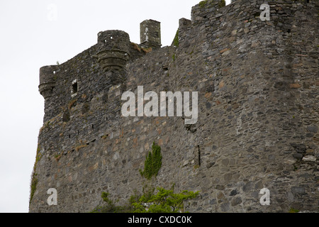 Mur et balustrade détail château de tioram. eilean tioram lochaber. Banque D'Images