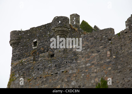 Mur et balustrade détail château de tioram. eilean tioram lochaber. Banque D'Images