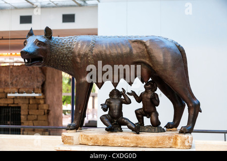 Statue en bronze de Romulus et Remus à partir d'un lait elle loup, Musée du Capitole, Rome, Italie. Banque D'Images