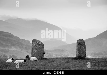 Les moutons se reposant à les menhirs de cercle de pierres de Castlerigg Banque D'Images