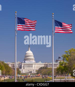 WASHINGTON, DC, USA - USA drapeaux et United States Capitol building sur le National Mall. Banque D'Images