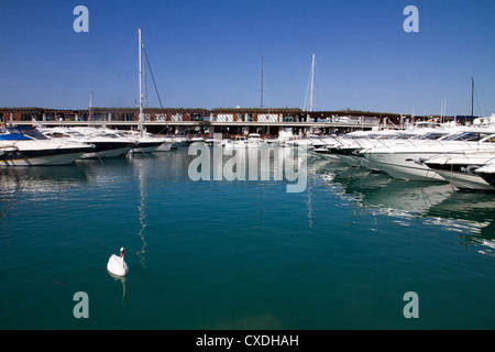 Yachts amarrés à Port Adriano 'Puerto Adriano' du port touristique de luxe à Majorque, Baléares, Espagne Banque D'Images