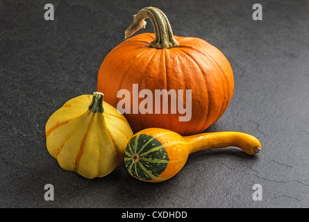 Les citrouilles sur la plaque d'ardoise Banque D'Images