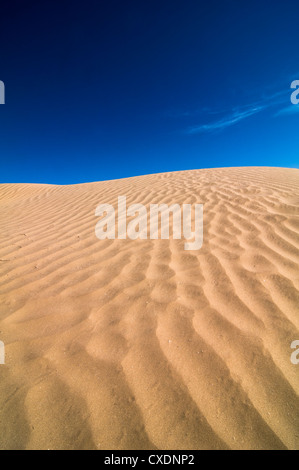 De belles dunes de sable dans le désert du Kyzyl Kum de Karakalpakie, Ouzbékistan. Banque D'Images