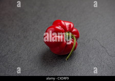 Le habanero rouge sur la plaque d'ardoise Banque D'Images