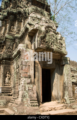 Ta Prohm, Parc archéologique d'Angkor, Site du patrimoine mondial de l'UNESCO, Siem Reap, Cambodge, Indochine, Asie du Sud-Est, l'Asie Banque D'Images