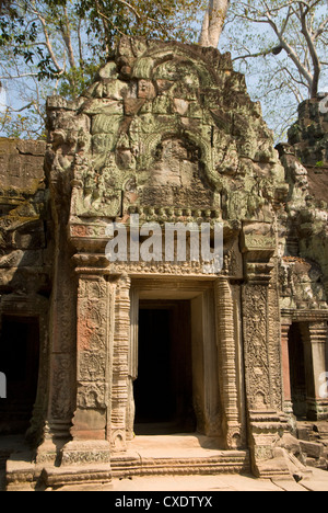 Ta Prohm, Parc archéologique d'Angkor, Site du patrimoine mondial de l'UNESCO, Siem Reap, Cambodge, Indochine, Asie du Sud-Est, l'Asie Banque D'Images