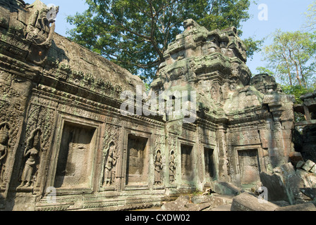 Ta Prohm, Parc archéologique d'Angkor, Site du patrimoine mondial de l'UNESCO, Siem Reap, Cambodge, Indochine, Asie du Sud-Est, l'Asie Banque D'Images