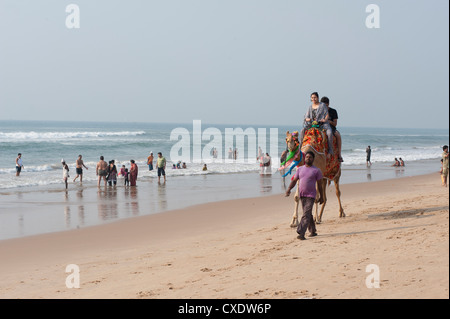 Les touristes indiens sur la plage de Puri, jeune famille prenant en chameau le long de la plage, Puri, baie du Bengale, l'Orissa, Inde, Asie Banque D'Images