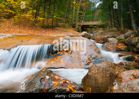 Franconia Notch State Park, New Hampshire, New England, États-Unis d'Amérique, Amérique du Nord Banque D'Images